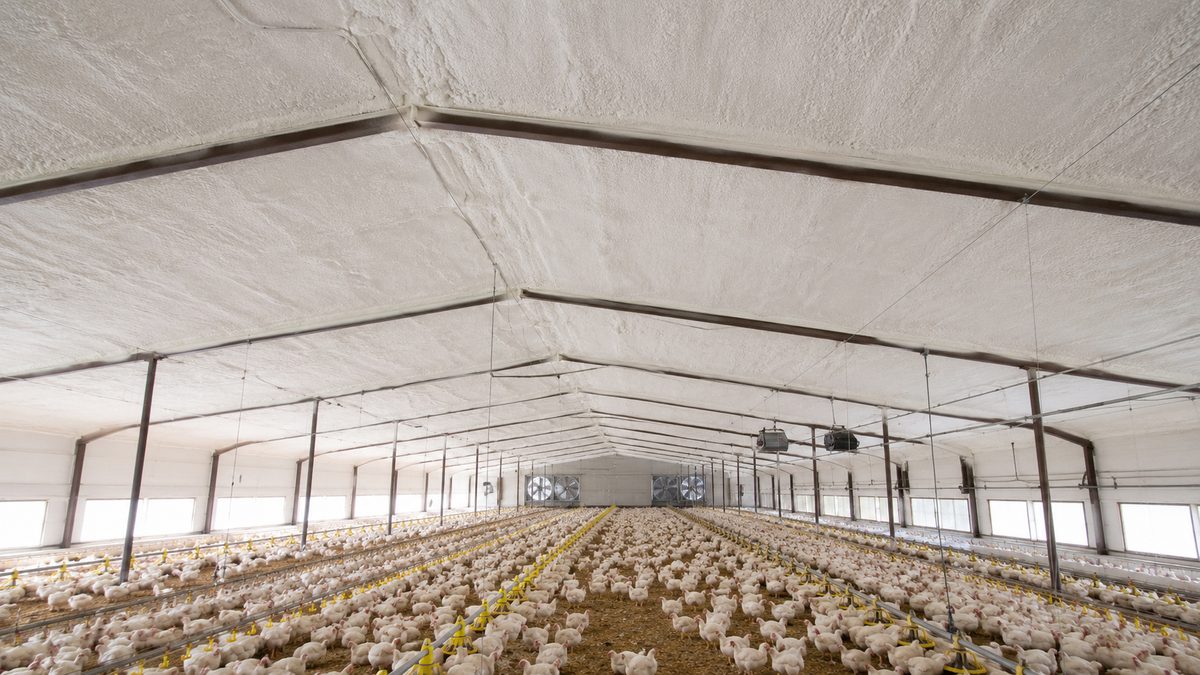 Finished seamless spray-foam insulated poultry house interior